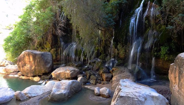 Thaki Bolivia