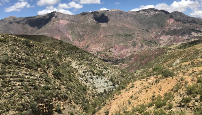 Thaki Bolivia