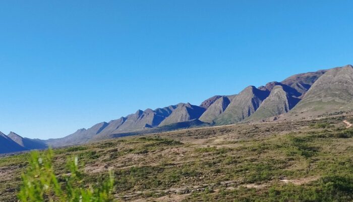 PARQUE NACIONAL TOROTORO : UN MUNDO RECOBRADO
