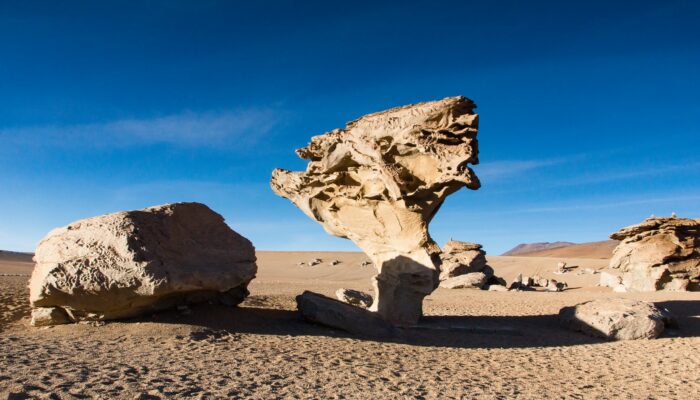 LA PAZ - UYUNI – ROCKS VALLEY – VILLAMAR (4.030 M A.S.L.  – 13,221 FT)