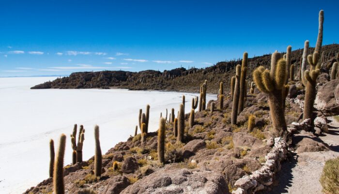 SAN PEDRO DE QUEMEZ – UYUNI SALT FLATS - COLCHANI (3.660 M A.S.L. – 12,007 FT)